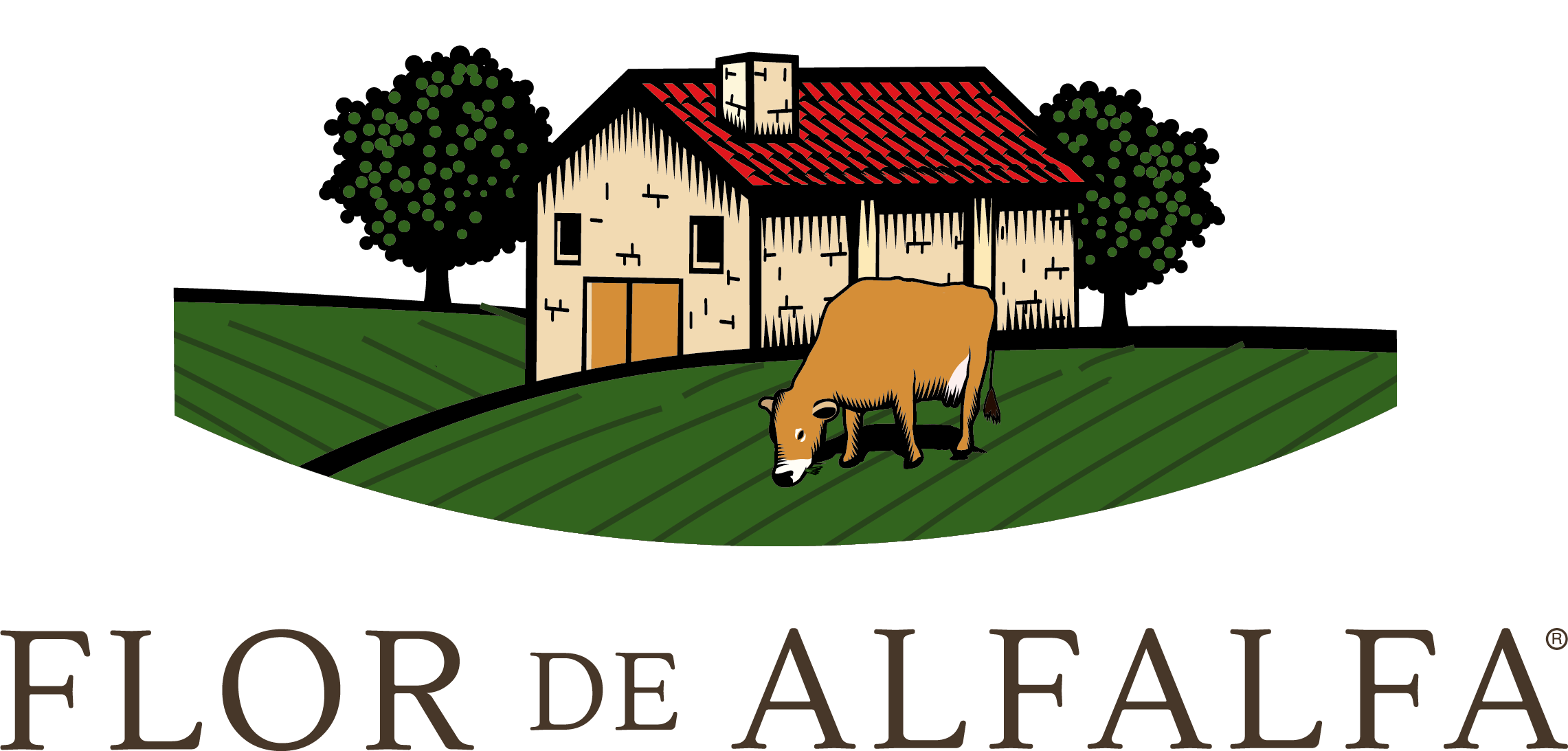 Flor de Alfalfa