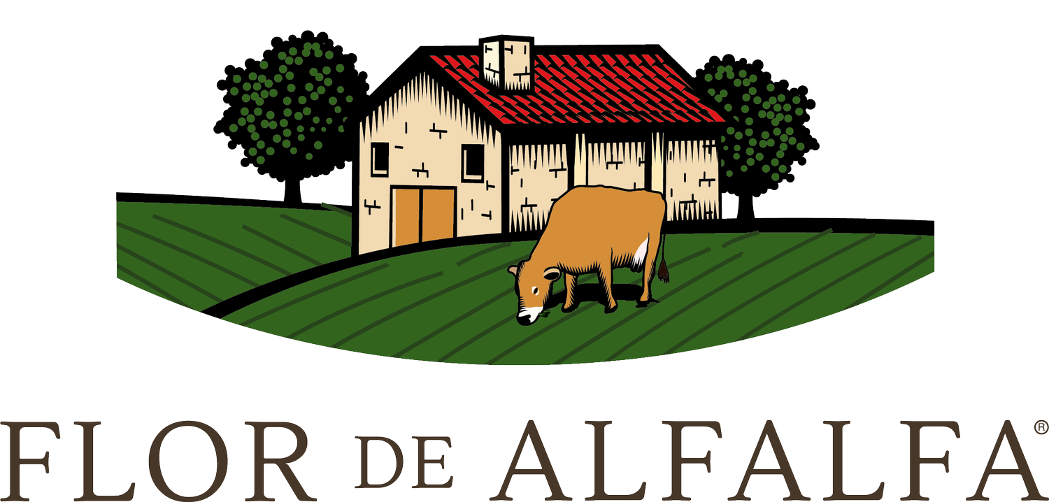 Flor de Alfalfa