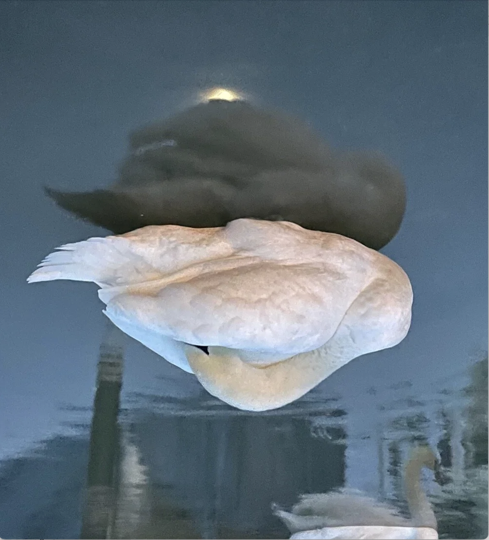 KB3.png