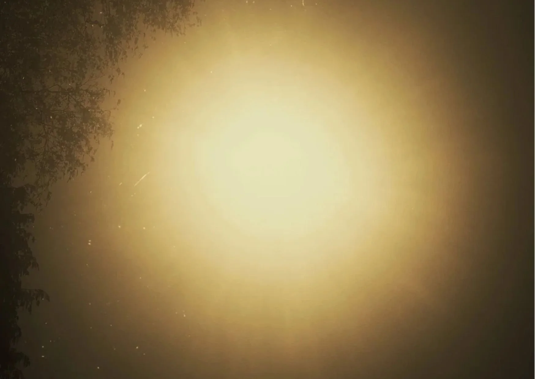 Thirty Suns, Four Seasons