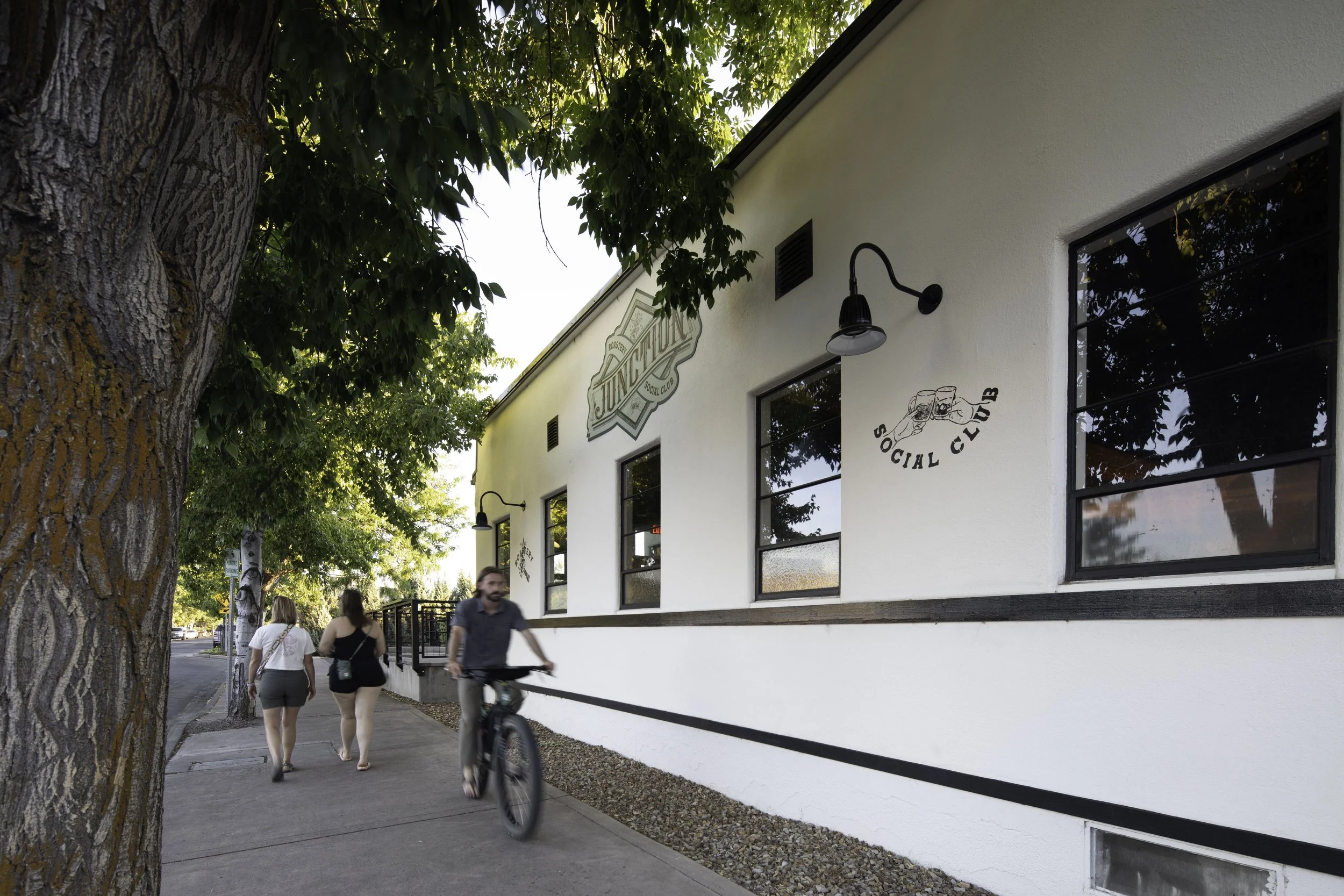 Tekneek-Junction Roastery-Cheryl-McIntosh Photographer-128-Edit.jpg