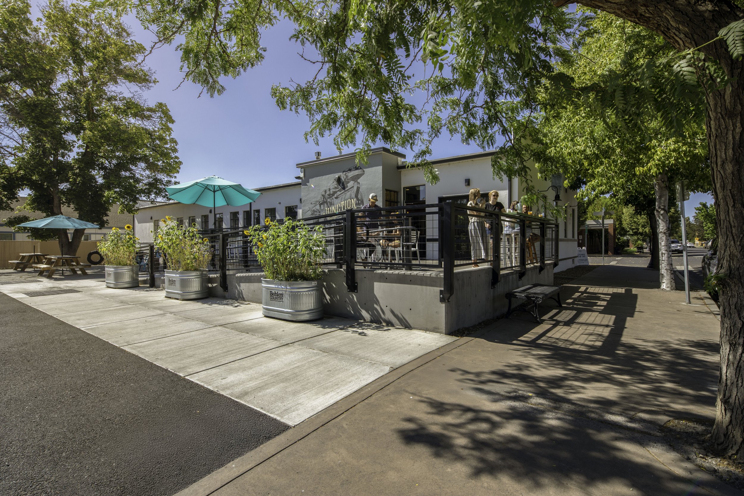 Tekneek-Junction Roastery-Cheryl-McIntosh Photographer-80-Edit.jpg