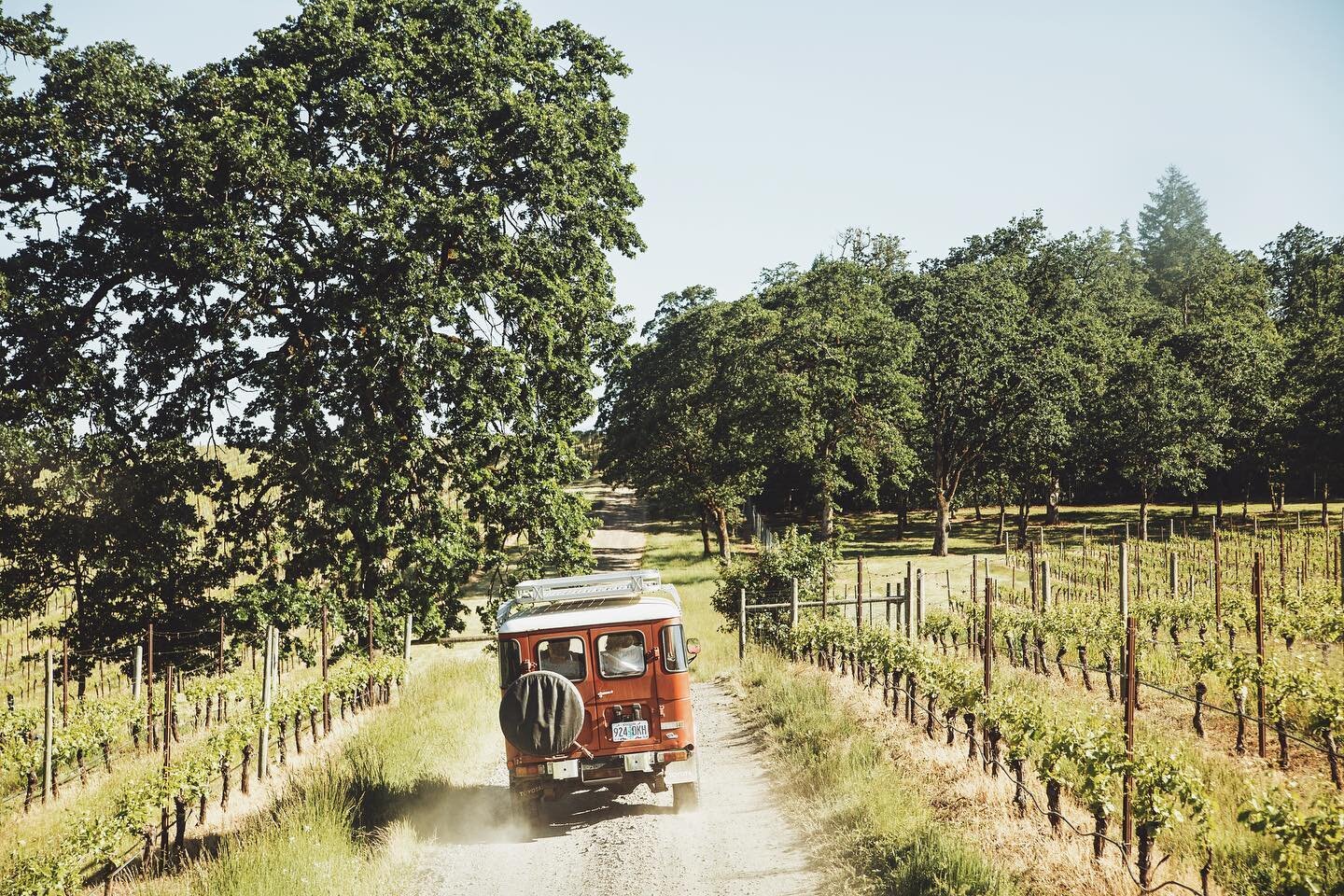 I spent the day with my friends at @leftcoastwine following their BJ Cruiser on a tour of the estate. From a worn path through the oak savannah to a sun-drenched ramble through waist-high grasses overlooking the Willamette Valley, it&rsquo;s definite
