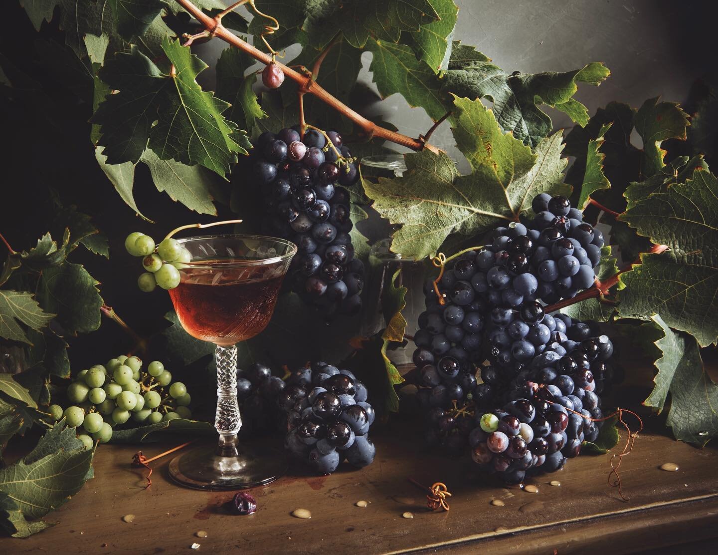 Still life with grapes, 2021 | Fun fact about young Laurel: I&rsquo;ve been OB-SESSED with grapes for most of my life. I used to collect grape paraphernalia, to the effect of my bedroom looking like a mid-sized California winery trying REAL hard to p