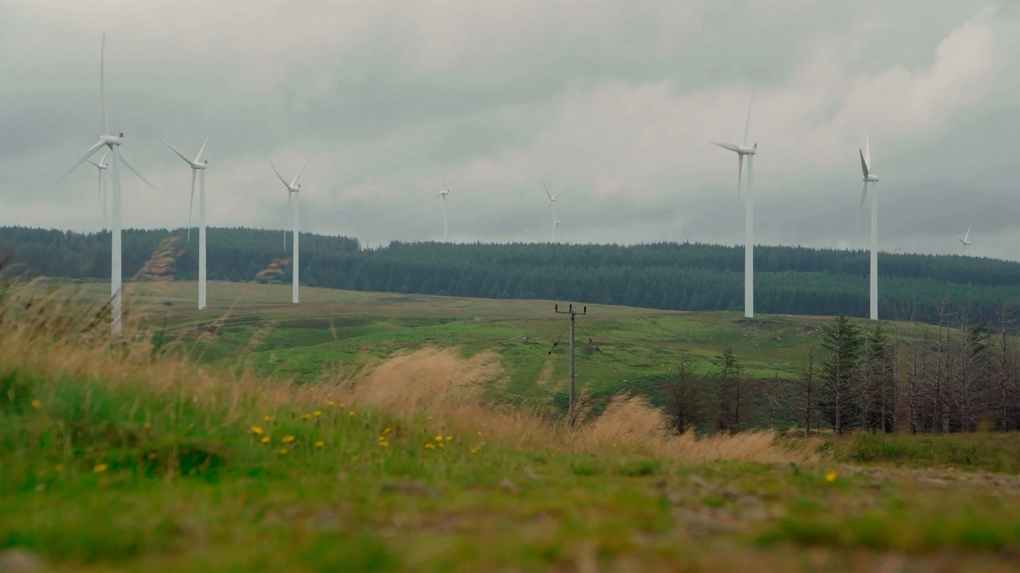 windmills big.jpg