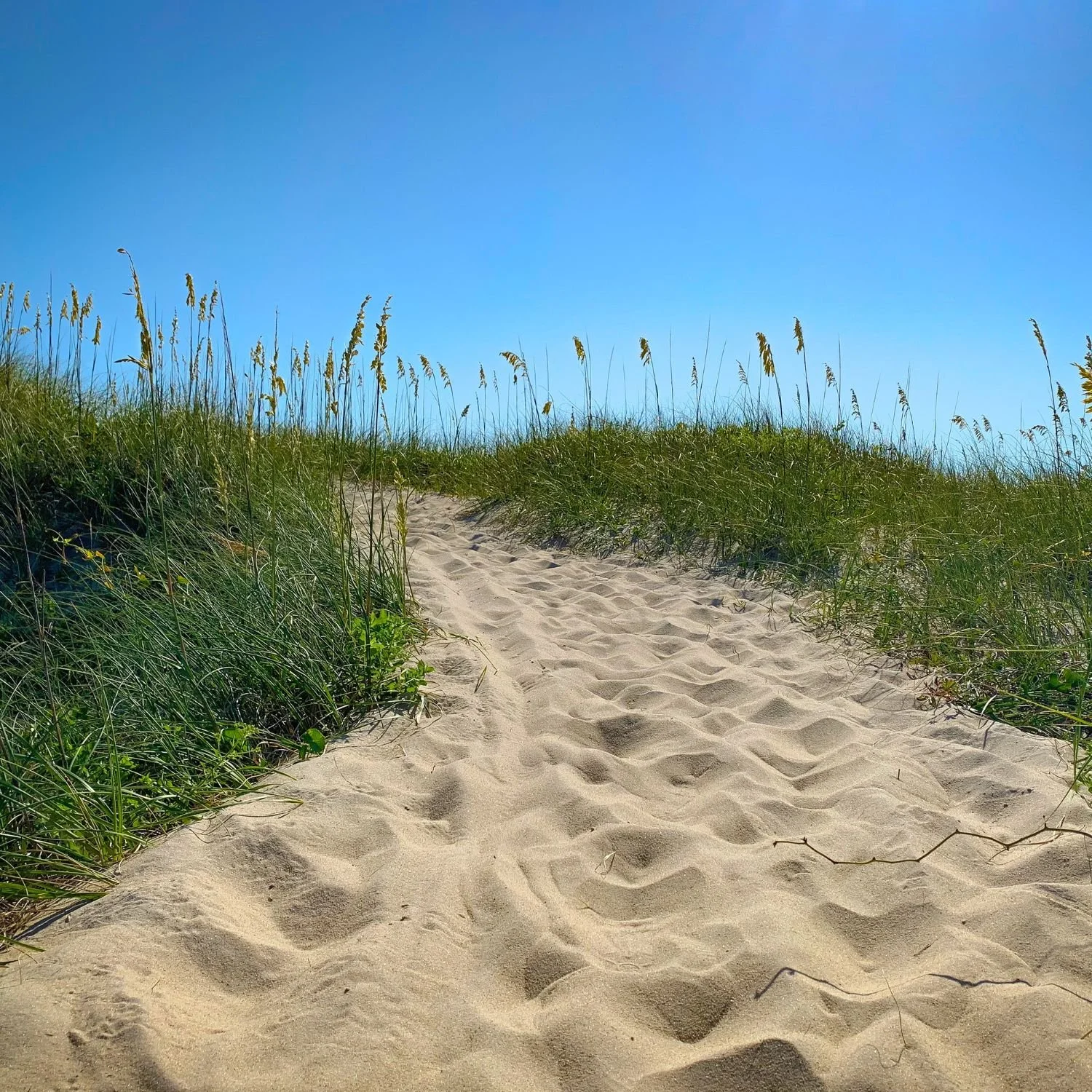 Topsail Beach, North Carolina beach sand path through grass