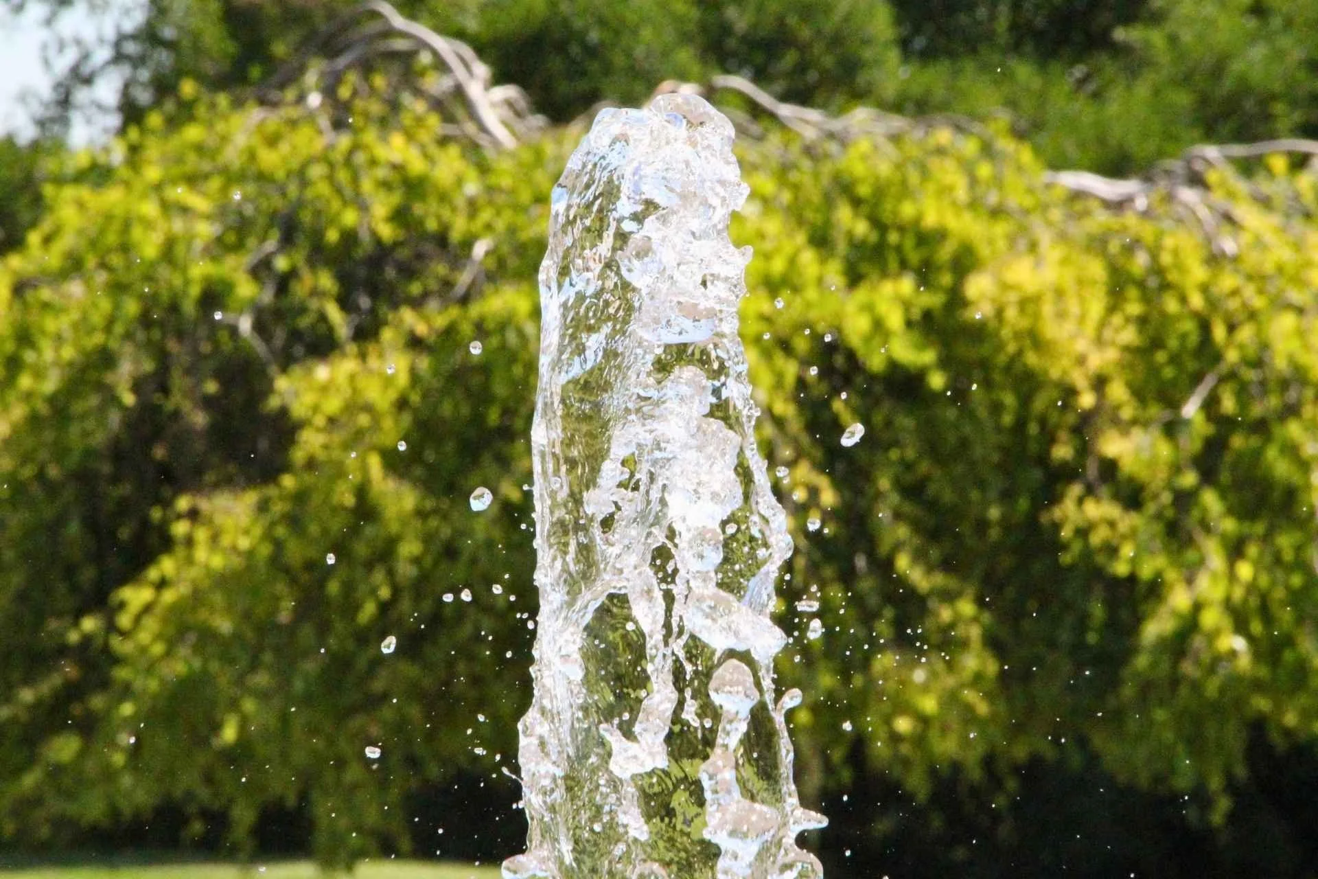 Close-up of a water fountain with water splashing upward, with green trees in the background.