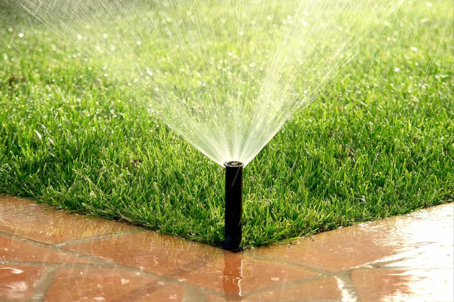 A sprinkler watering a green grass in a yard