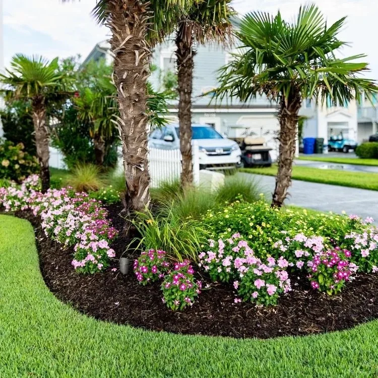 Residential front yard landscape with palm trees, pink and purple flowers, green grass, and a driveway with parked cars in the background.