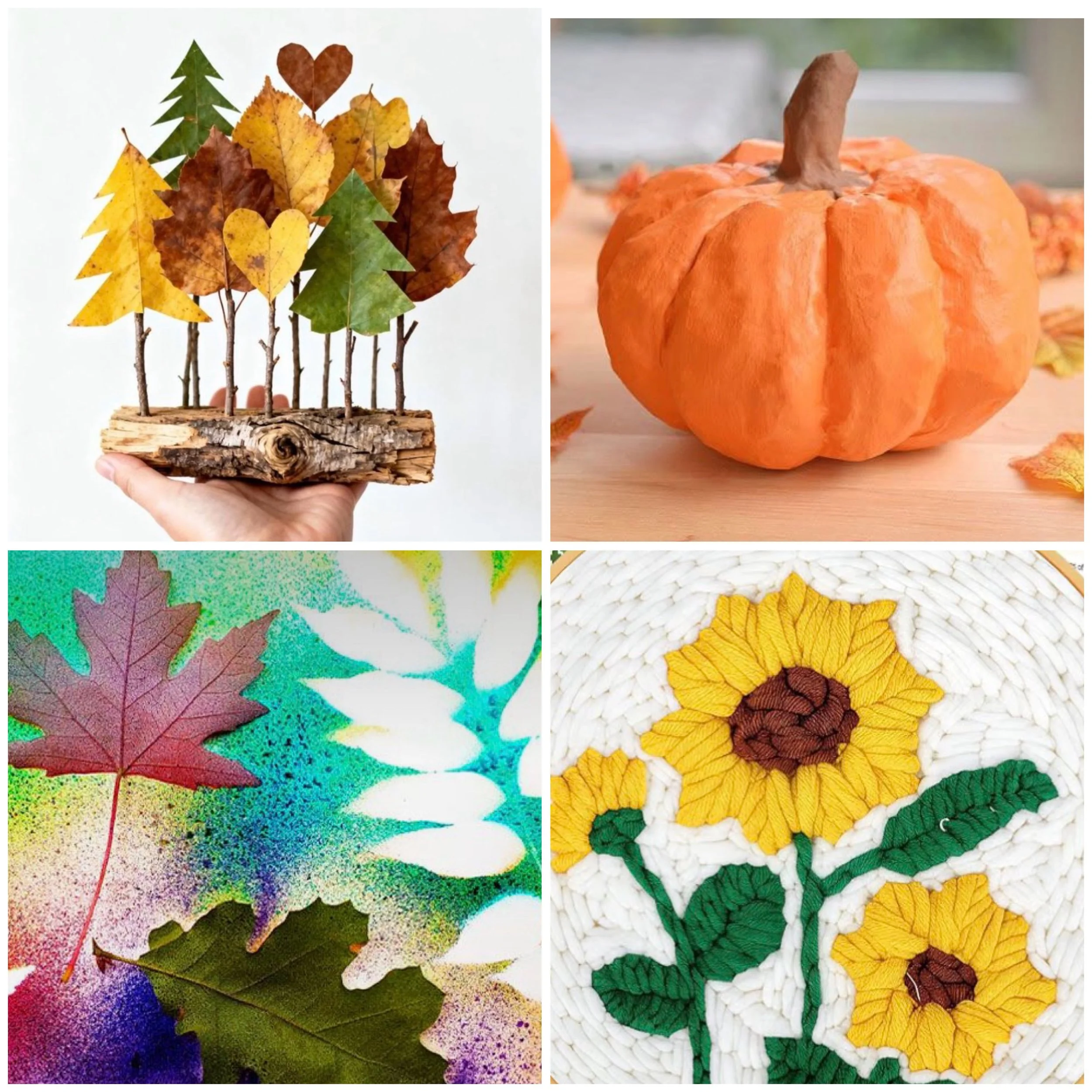 collage_export_488F59C9-934C-4F54-8764-96D95E21FA0A.jpeg