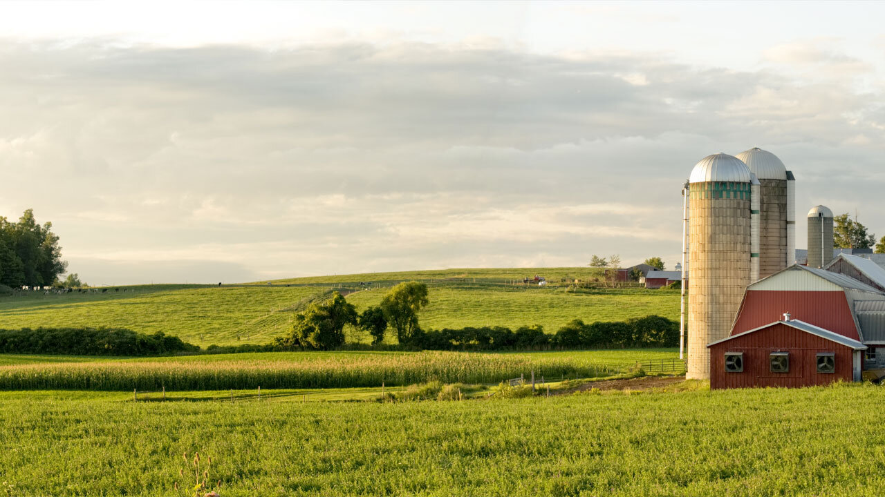 The 3 Impacts of the Rural Digital Opportunity Fund (RDOF) on Telecoms