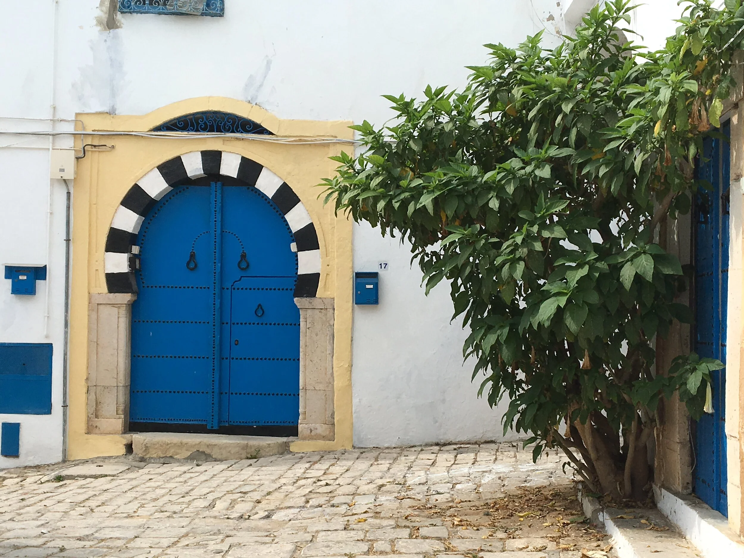 Tunis, Tunisia (Mehreen Farooq)