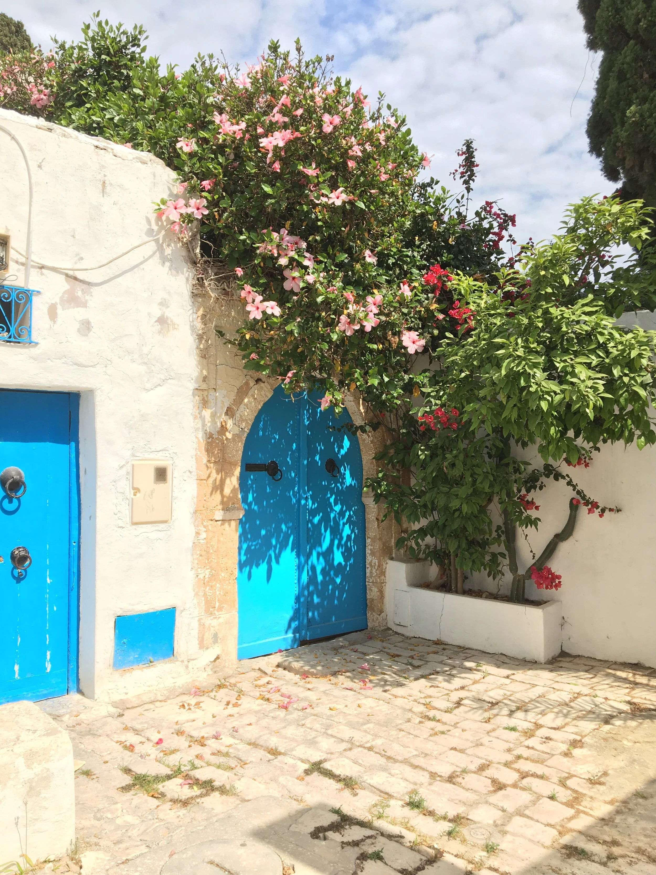 Tunis, Tunisia (Mehreen Farooq)