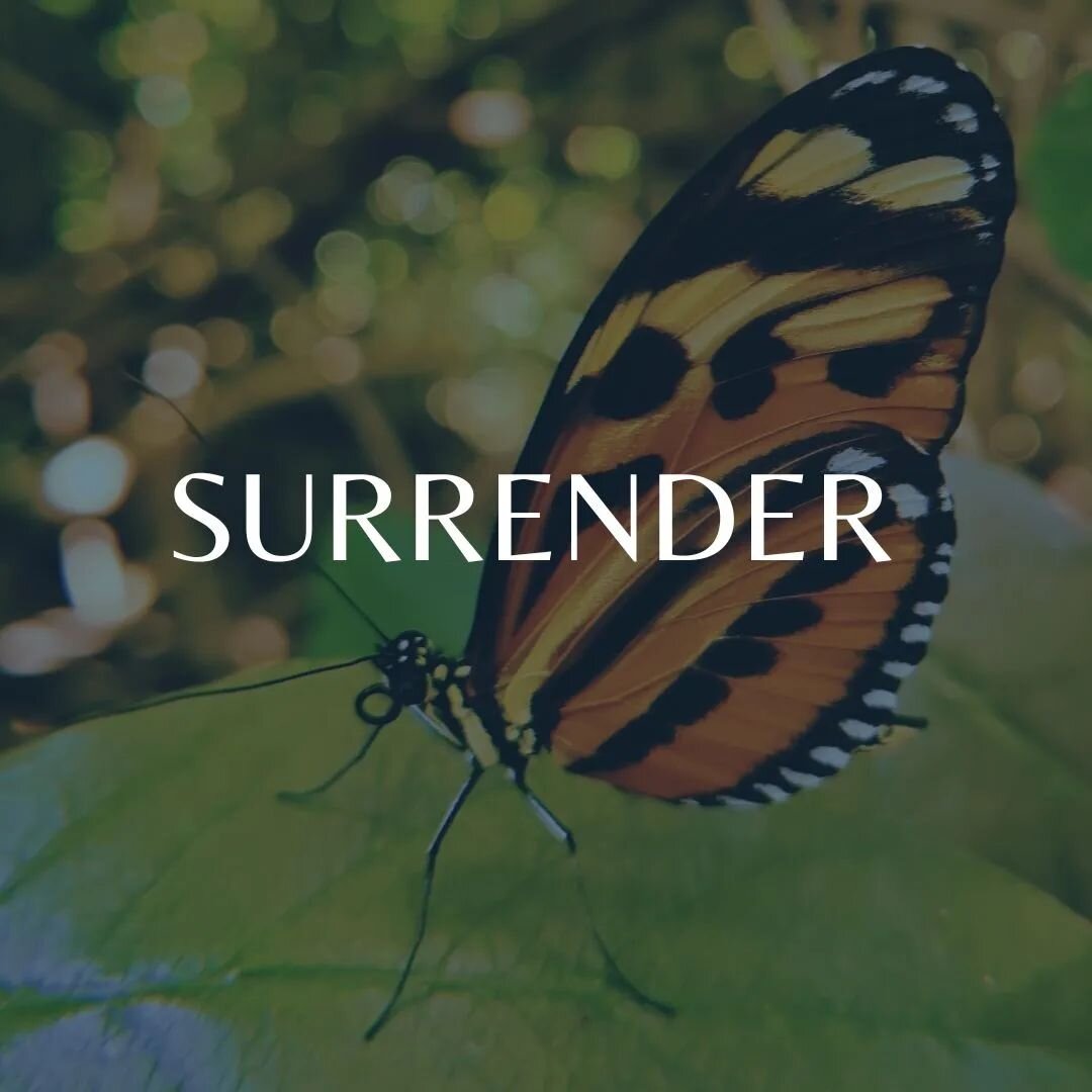 Surrender has been a theme popping up in many places lately.

During our tantric connection workshop last month, the concept of surrender was one of the main take-aways. Releasing control, being present, and trusting yourself aren't always as easy as