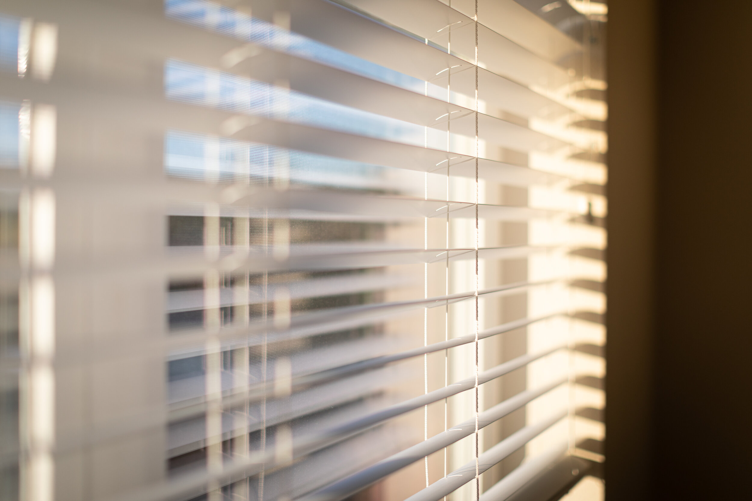 AdobeStock_295591597.jpeg