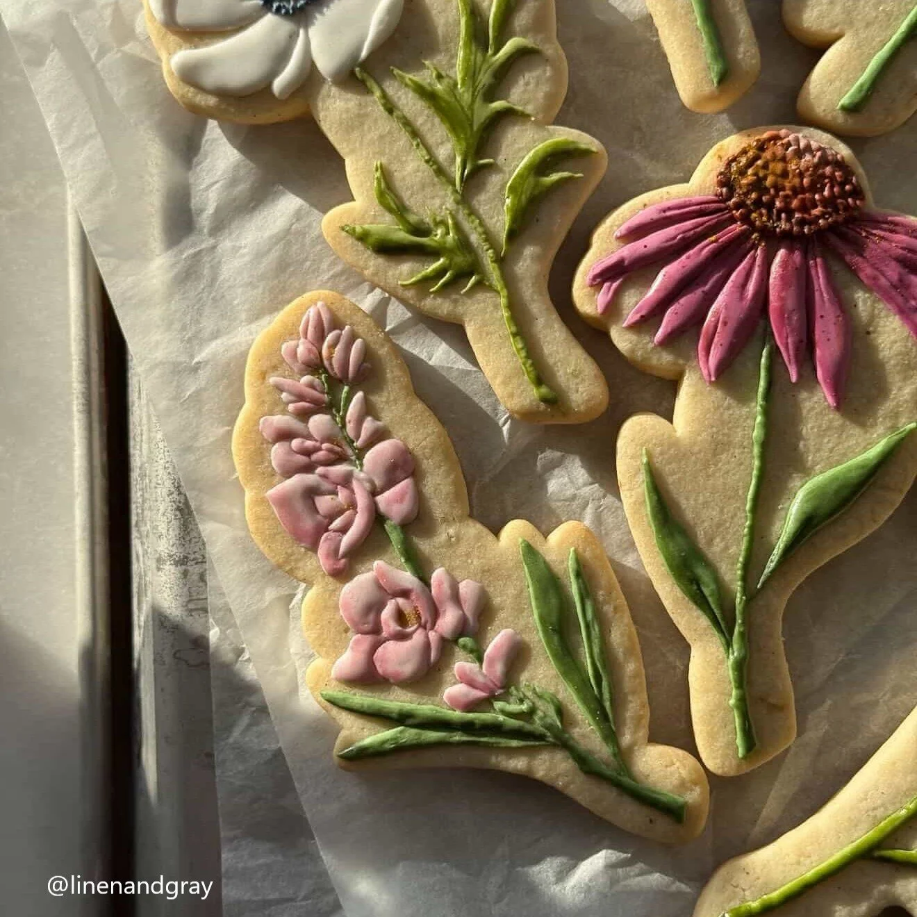 Stemmed Florals Set 3, stemmed stock, stemmed echinacea.jpg