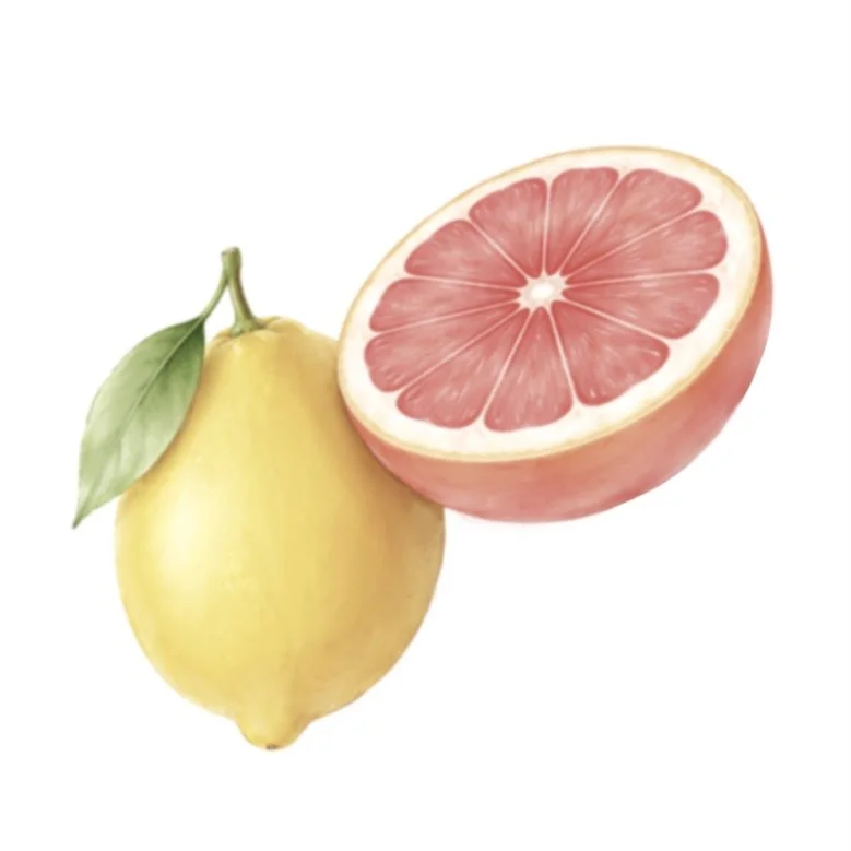 Grapefruit Lemon 4" STL File