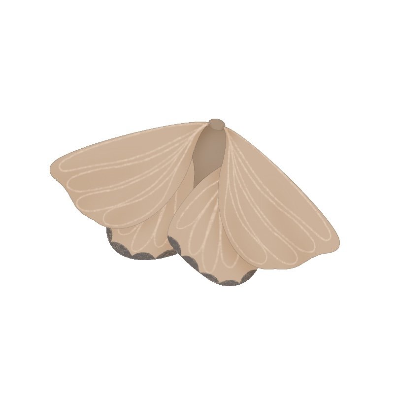 Mini Witch Moth 2.25" STL File