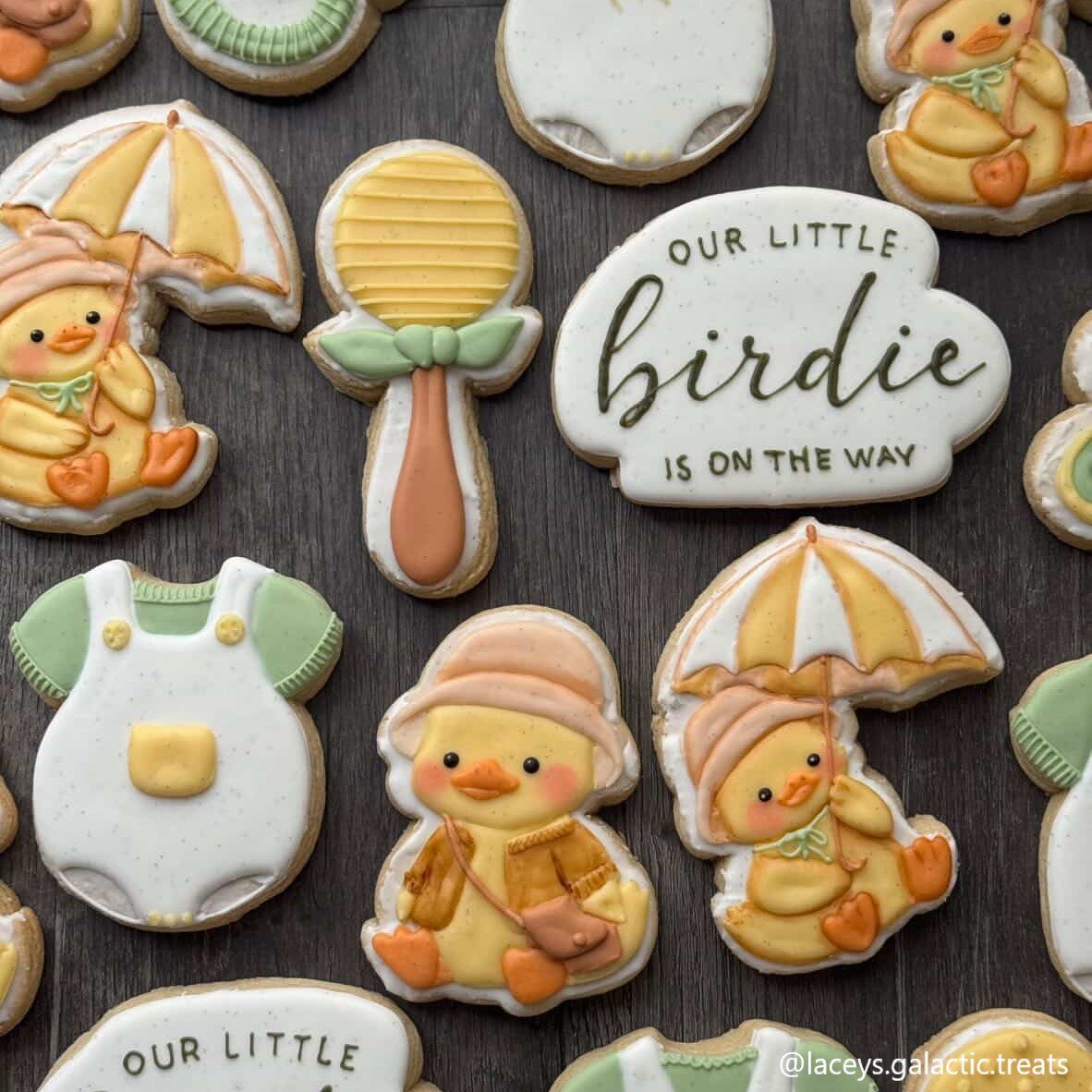Baby Chick Set, birdie plaque, floral onesie, hat bag chick, umbrella chick.jpg
