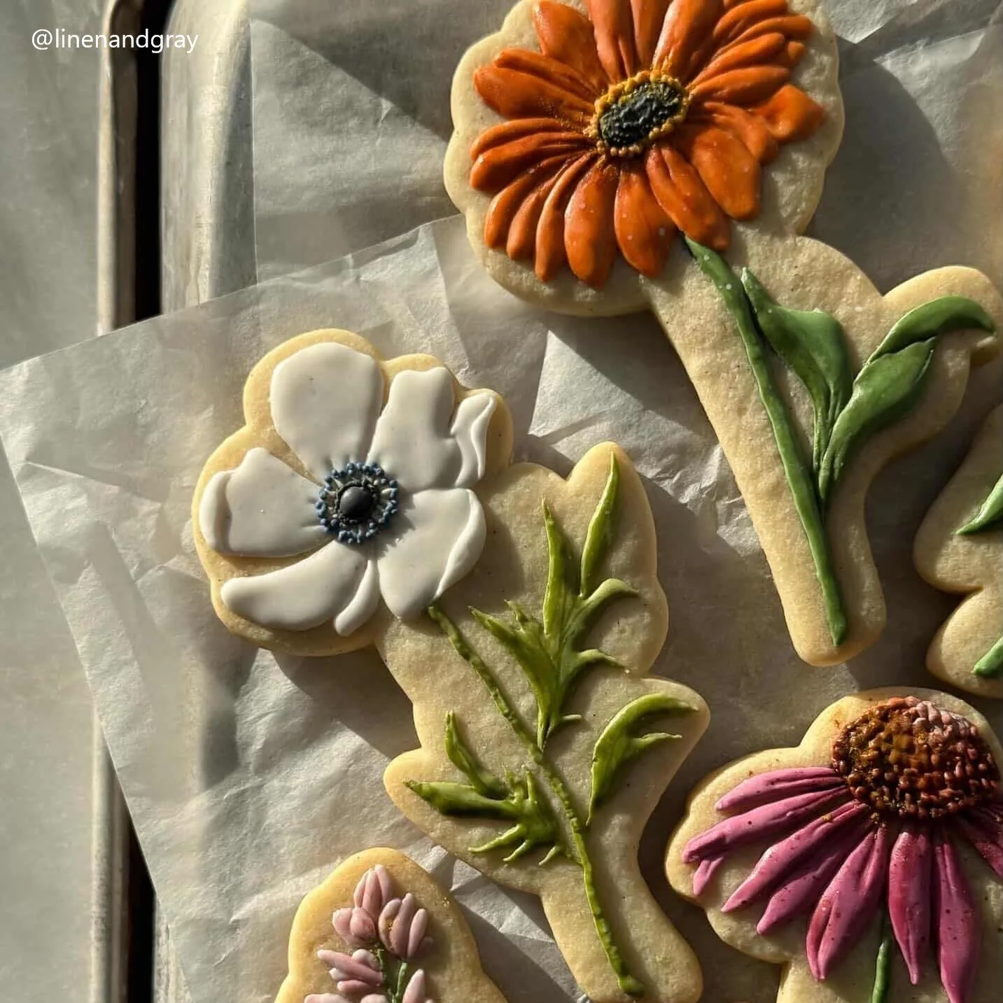 Stemmed Florals Set 3, stemmed anemone, stemmed gerbera daisy.jpg