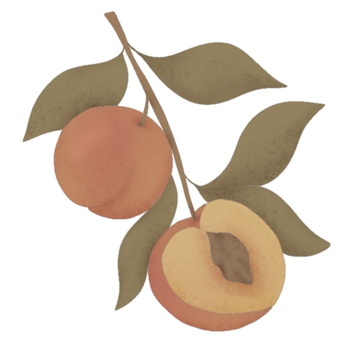 Peach Branch 4.25" STL File