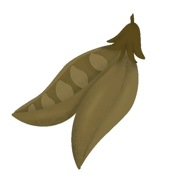 Green Beans.jpg