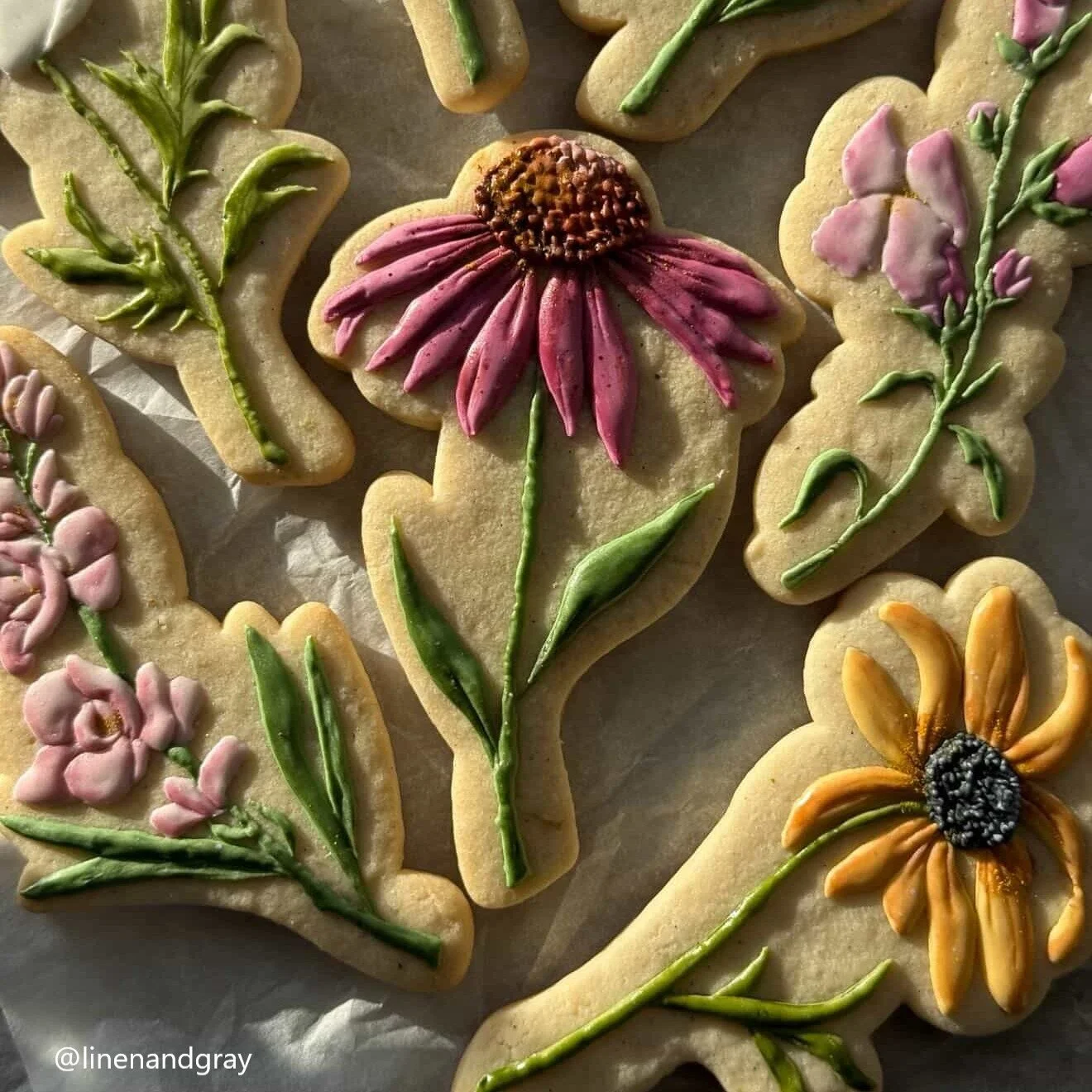 Stemmed Florals Set 3, stemmed echinacea.jpg