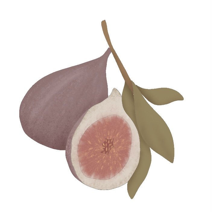 Fig Branch 4" STL File