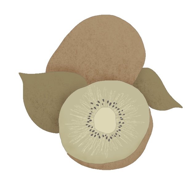 Kiwi 3.75" STL File