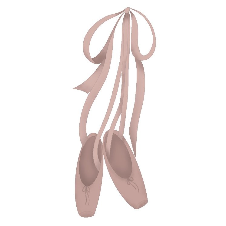 Ballerina Slippers 1.jpg
