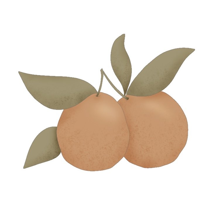 Citrus Pair 4" STL File