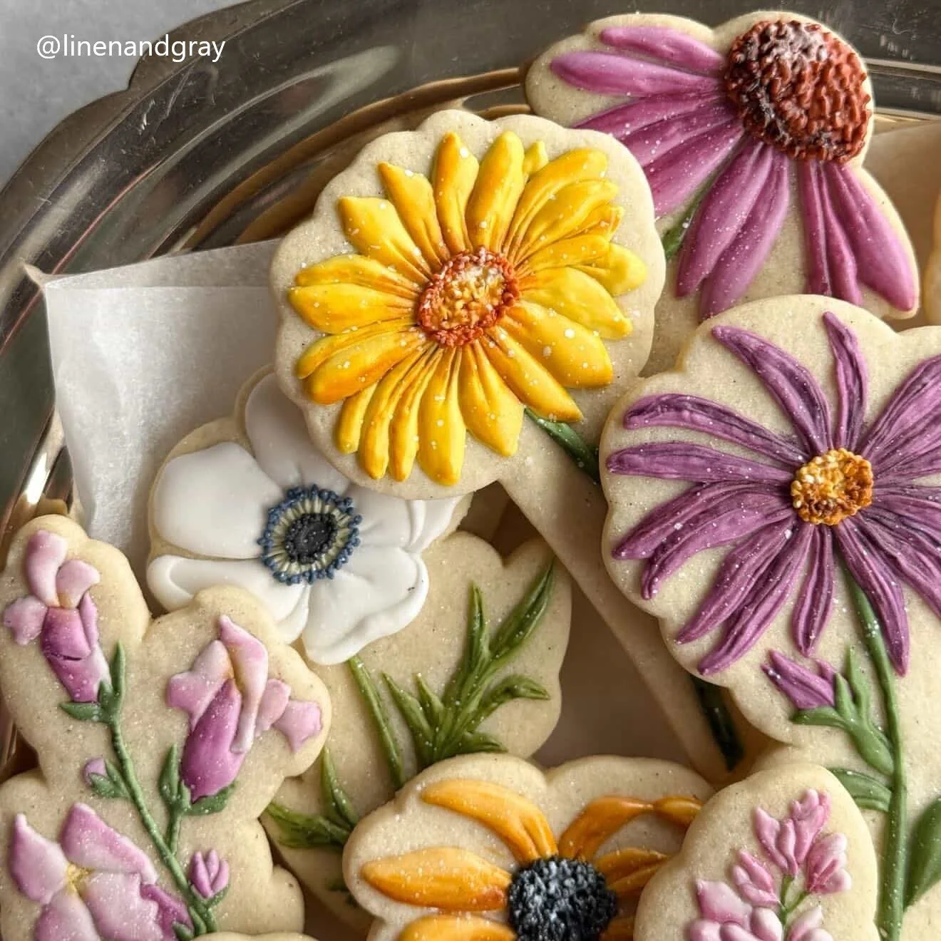 Stemmed Florals Set 3, stemmed gerbera daisy, stemmed anemone, stemmed aster, stemmed stock.jpg