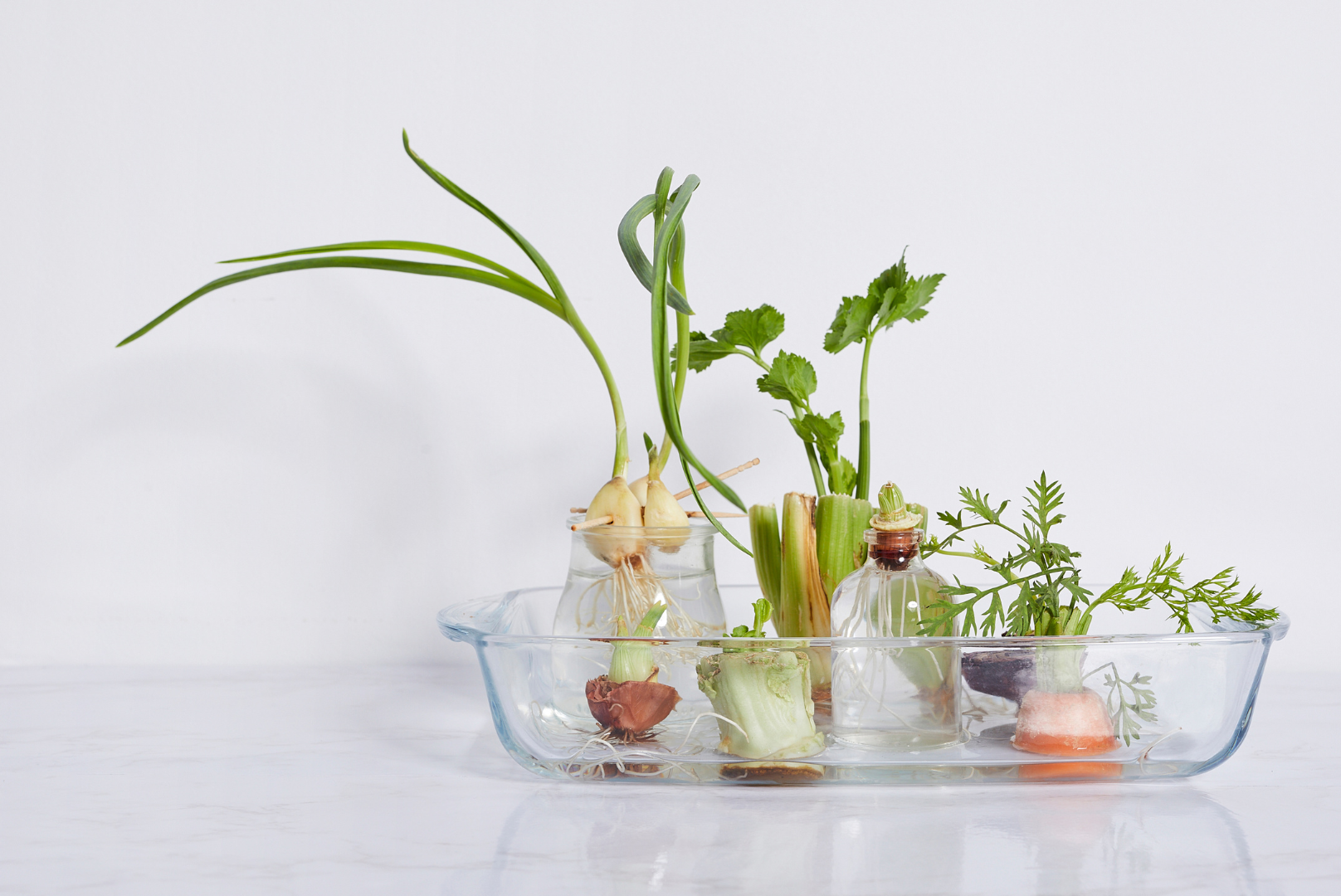 Going Green Starts in Your Kitchen: A Wellness Approach to Reducing Food Waste