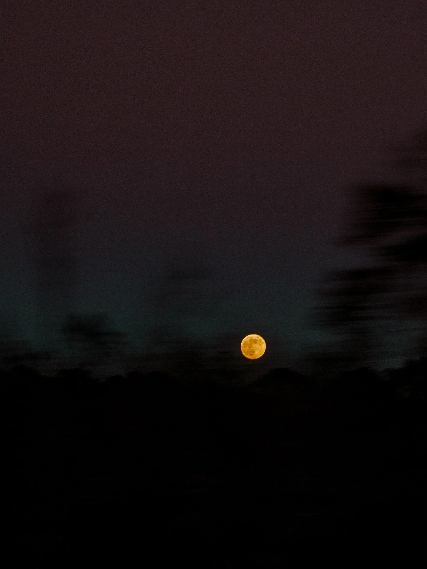 When I want to share my photos on social media, I become soooo critical of myself. I overthink what image to share, what caption to write, and what time to post. 
Guess what, I always end up taking my drafts down, and not posting at all.
Ughh&helli