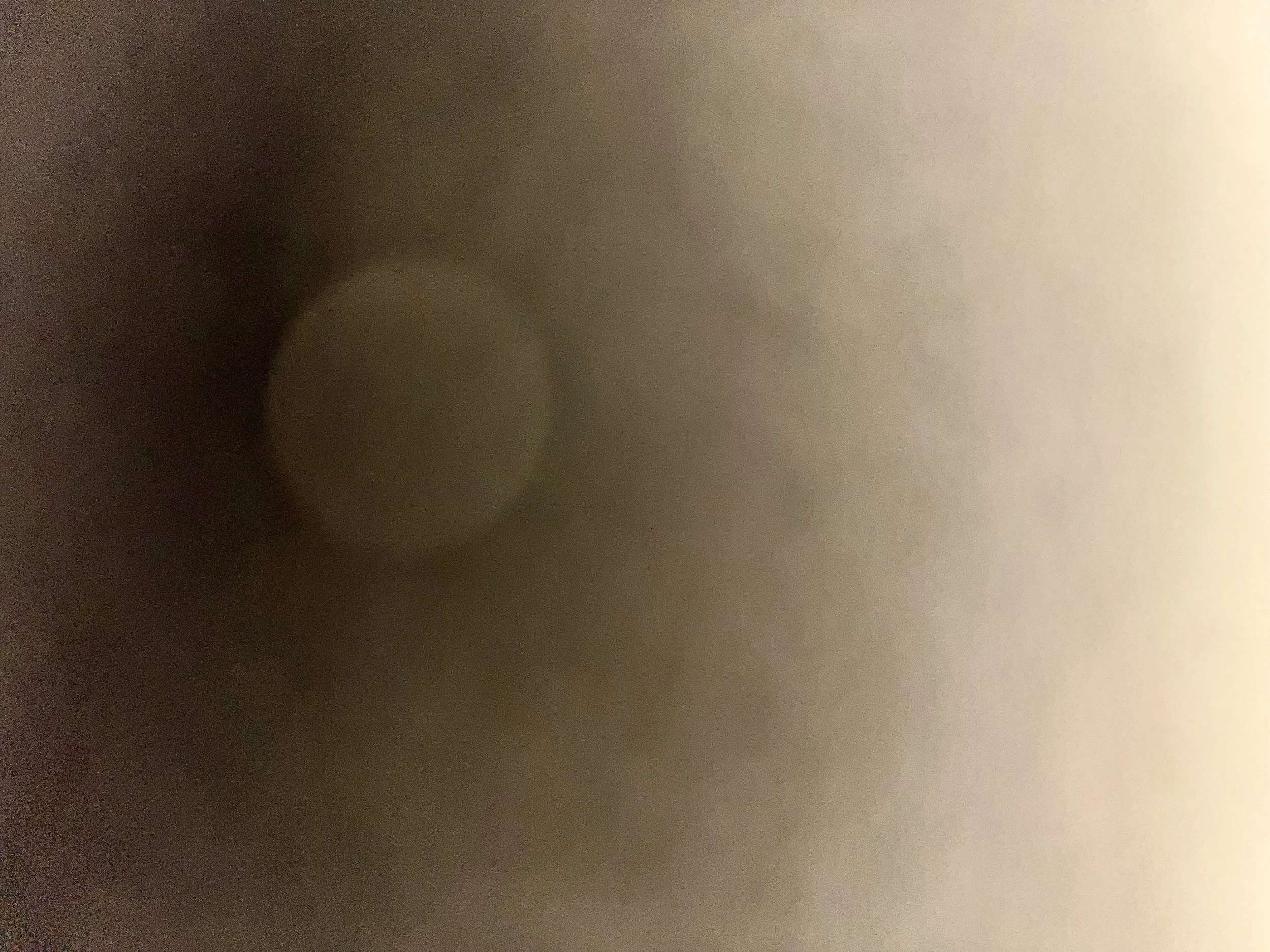 An accidental thumb press on the camera led to a nicely abstract image of who knows what.