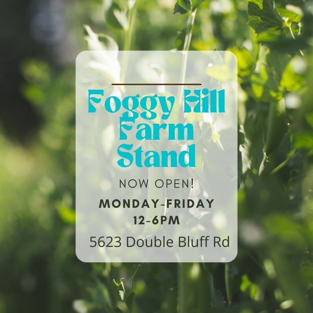 Farm Stand is open! So excited for y'all to come by and see it. Please be patient with us as we work out any issues. Come snag veggies and flowers Monday-Friday, 12-6pm. We ask that you don't wander the farm unless you have an appointment. Thanks to 