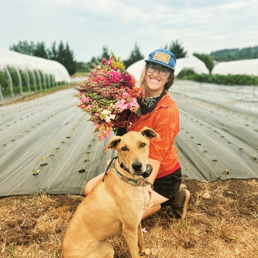 Happy Flower Friday! Snag some snapdragons @bayview_farmers_market tomorrow 10-2!