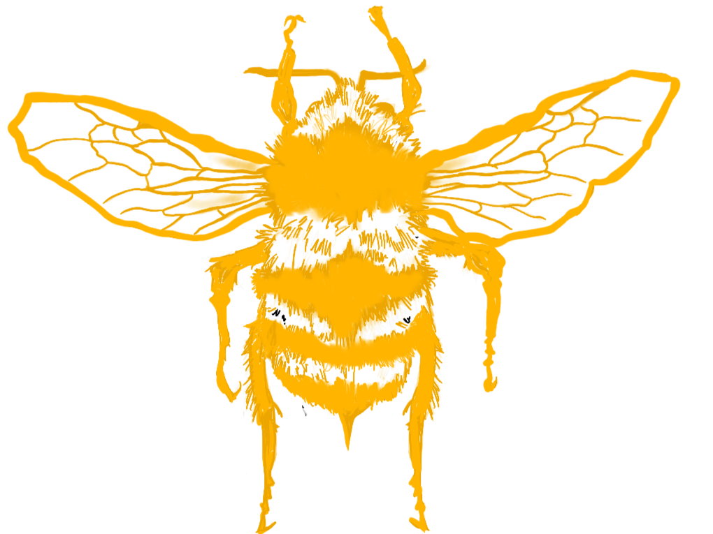 Vassor Enterprise LLC