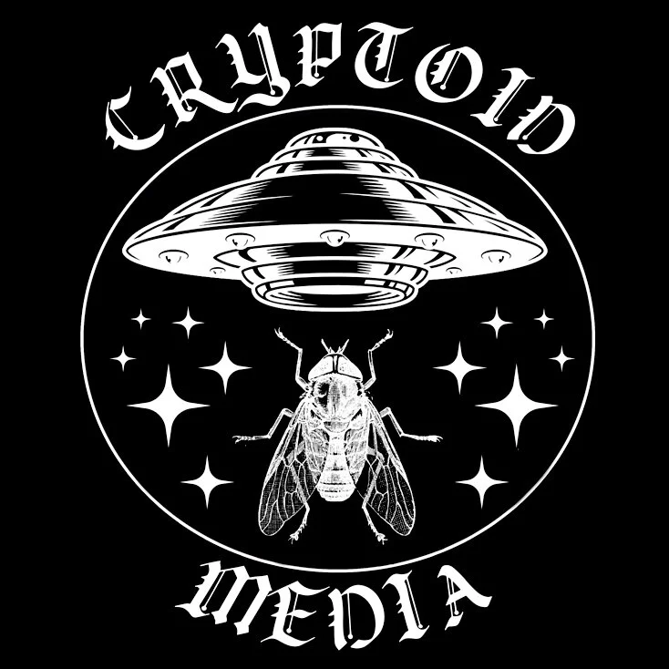 WEB DEF NO WORDS.jpg