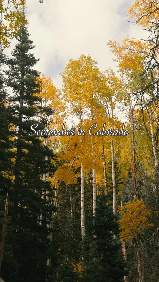 Turning aspens and distant bugles, Colorado has it all in September.
vid work / @nhunterk
#september #colorado #colors #bear #deer #elk #snow #videography #canon #beararchery #kuiu #vortexnation #nature