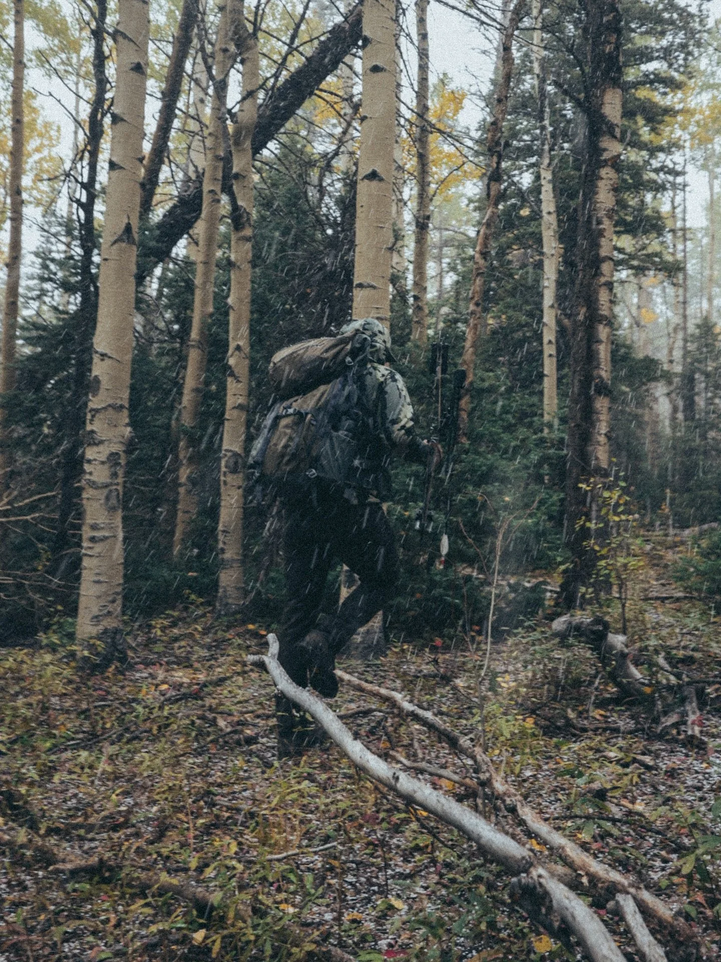 A few more shutter clicks from the 🏔️
📸 / @nhunterk
#identicaldraw #idbros #mountains #elk #colorado #september #fall #kuiu #vortexnation #onxhunt #beararchery
