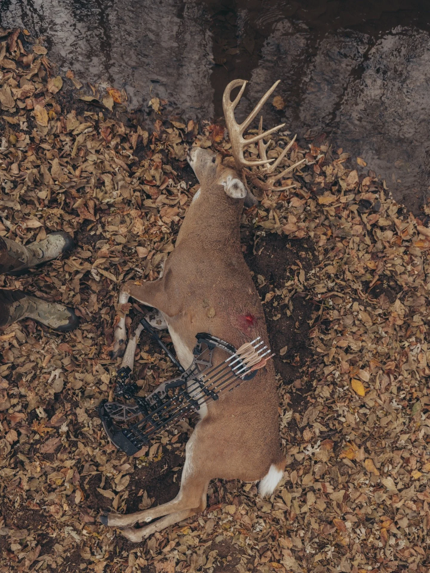 Just need one more Kansas brute to do the thing. With cold weather on its way, I like our chances. 

📸 / @thomas.krick