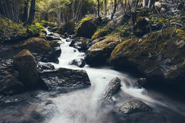 Excavating the Flowing Current