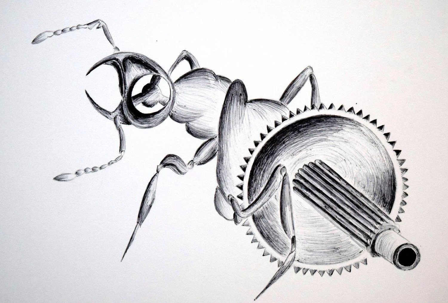 Transformer Ant_Abigail Permell.JPG