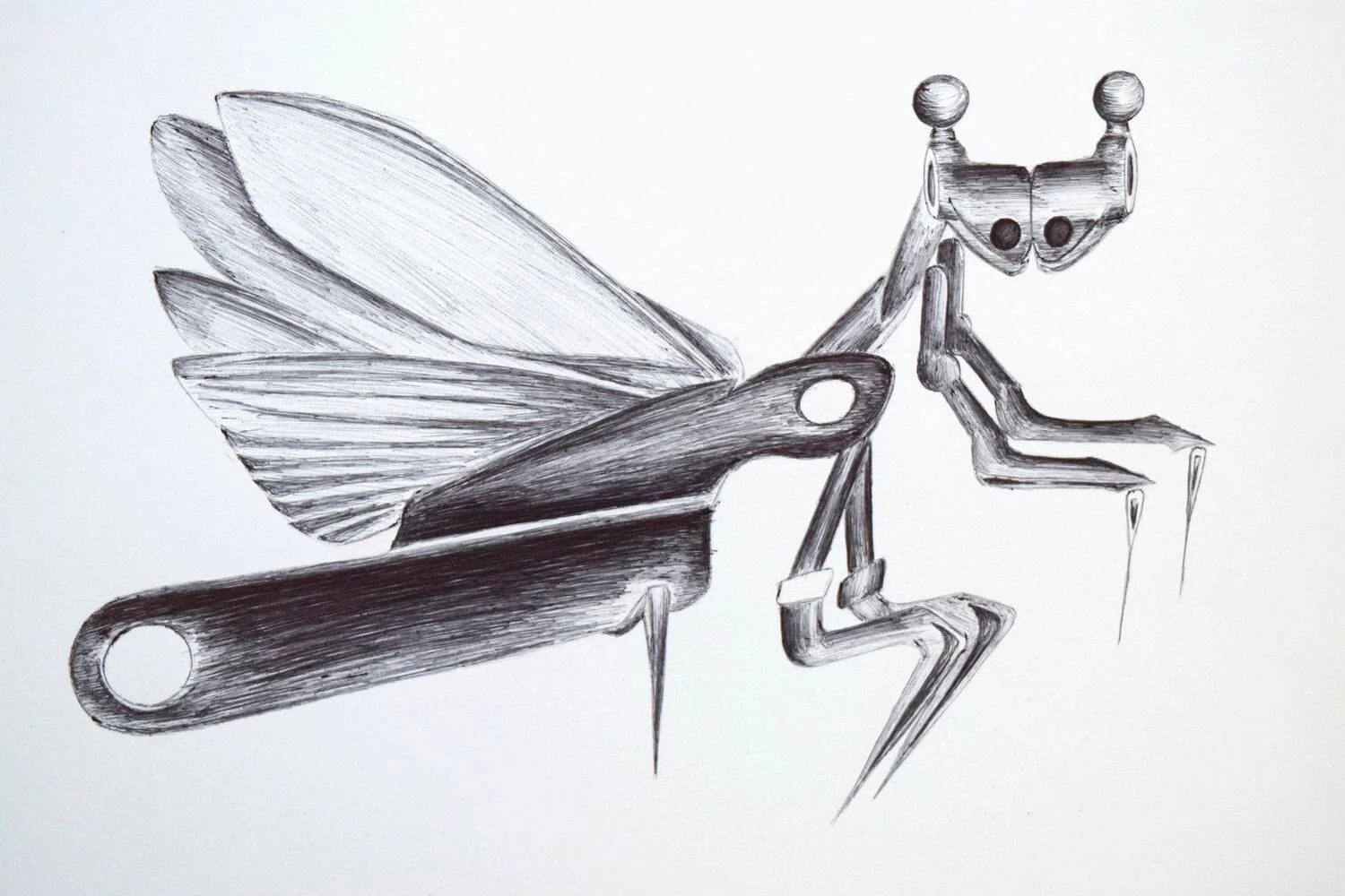 Transformer Grasshopper_Abigail Permell.JPG