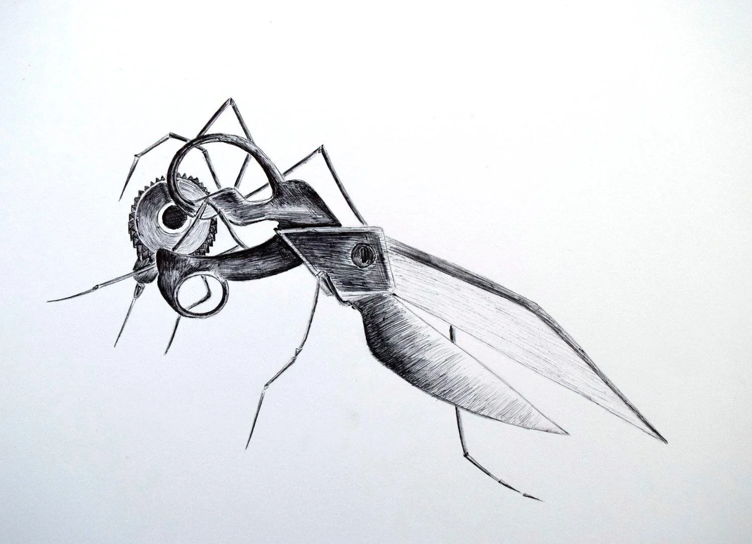 Transformer Musquito_Abigail Permell.JPG