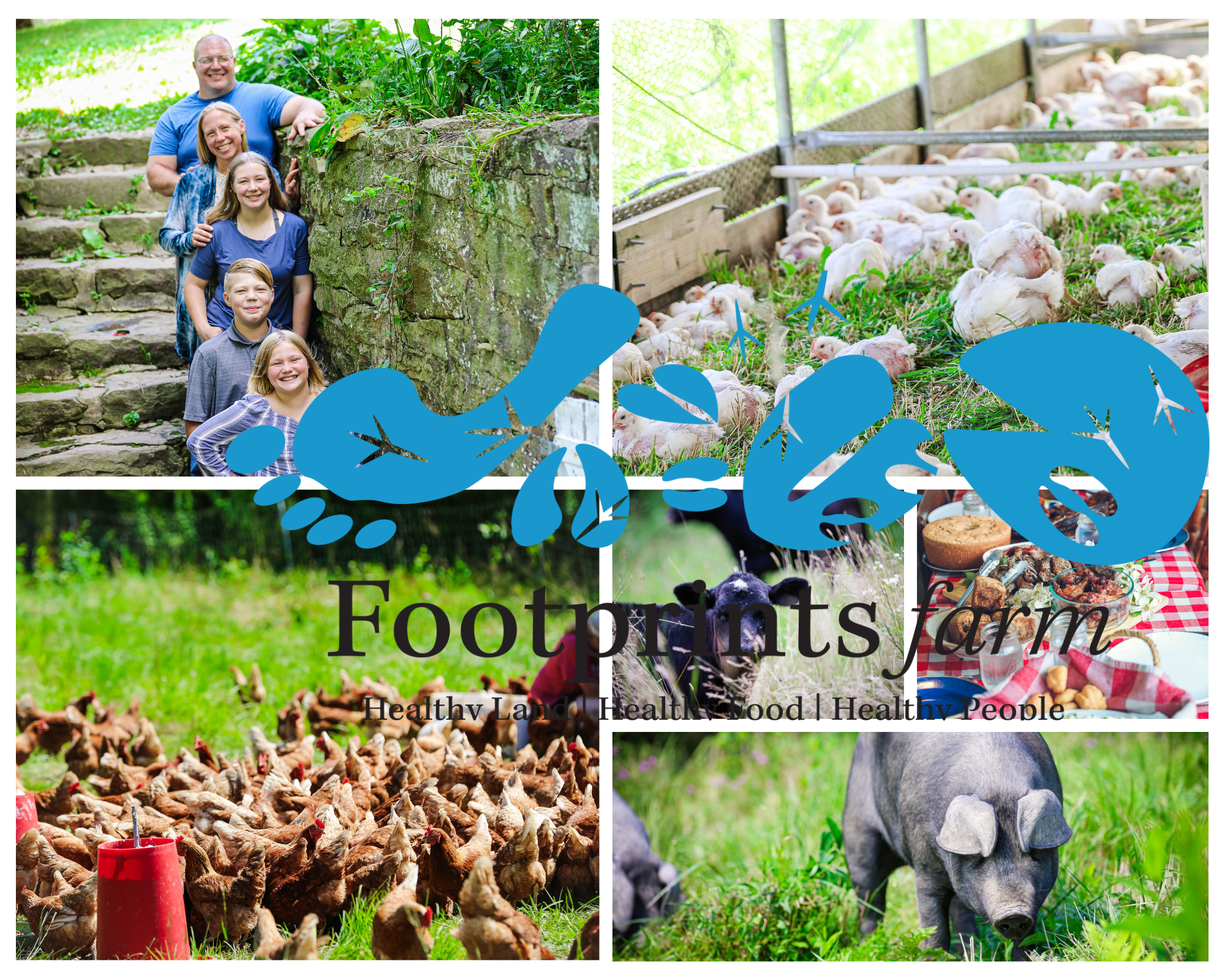 Footprints Farm photo 2