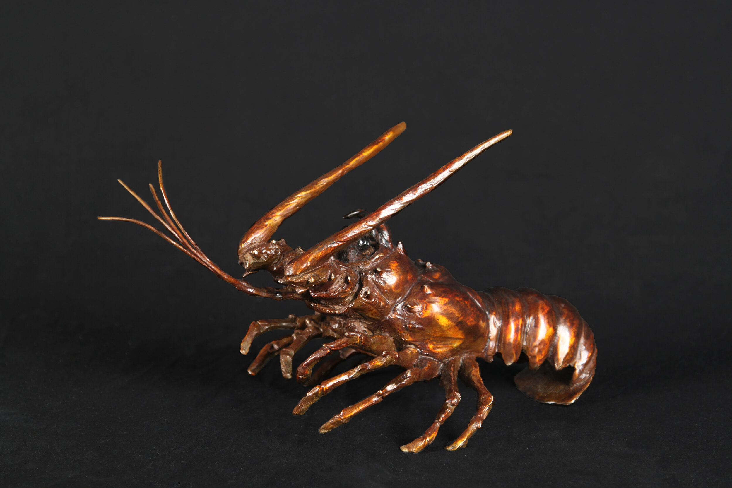 Spiny Lobster