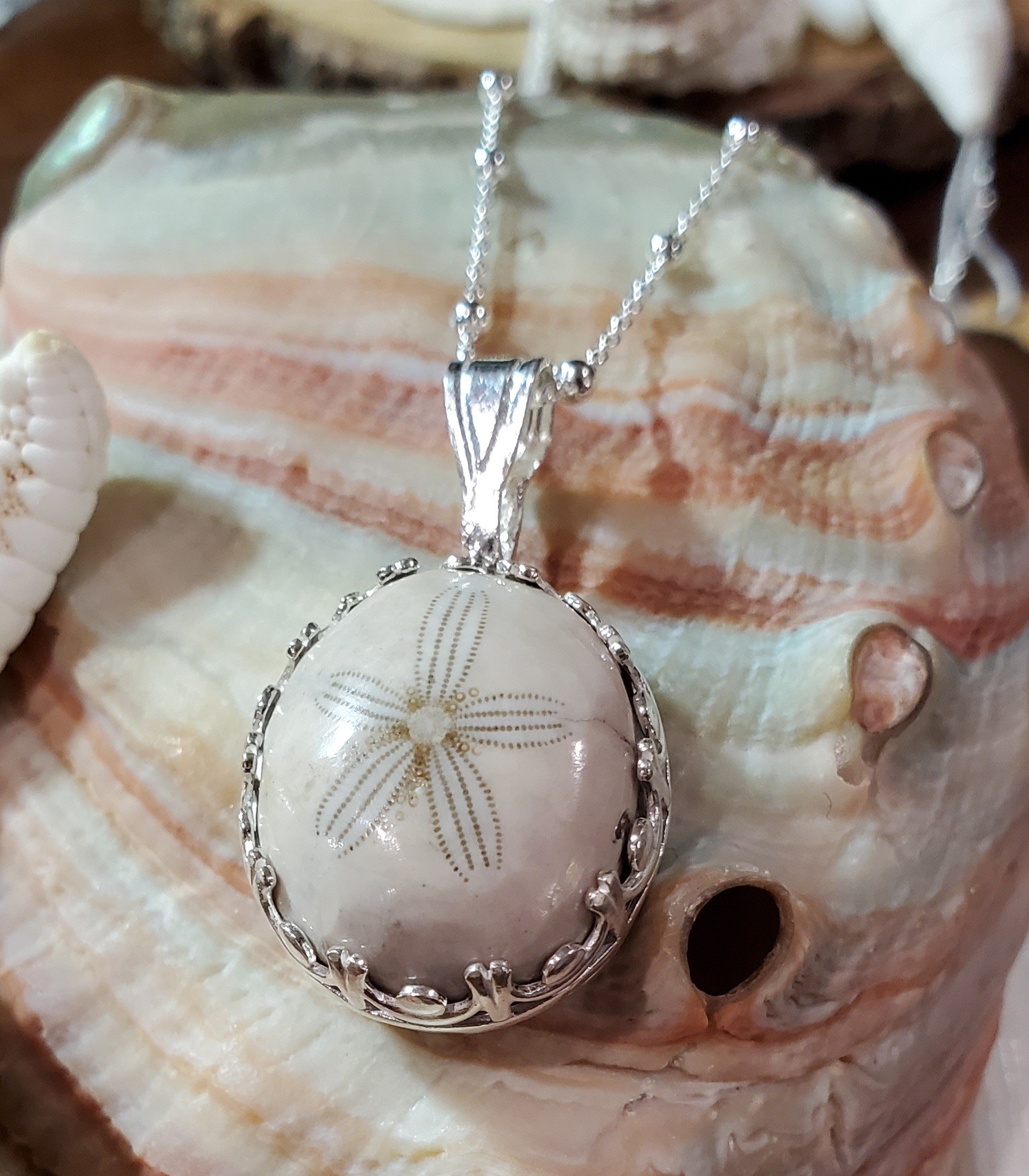 Sterling Silver, Rhodium Plated Dual Finish Sand Dollar Pendant - Coast  Boutique
