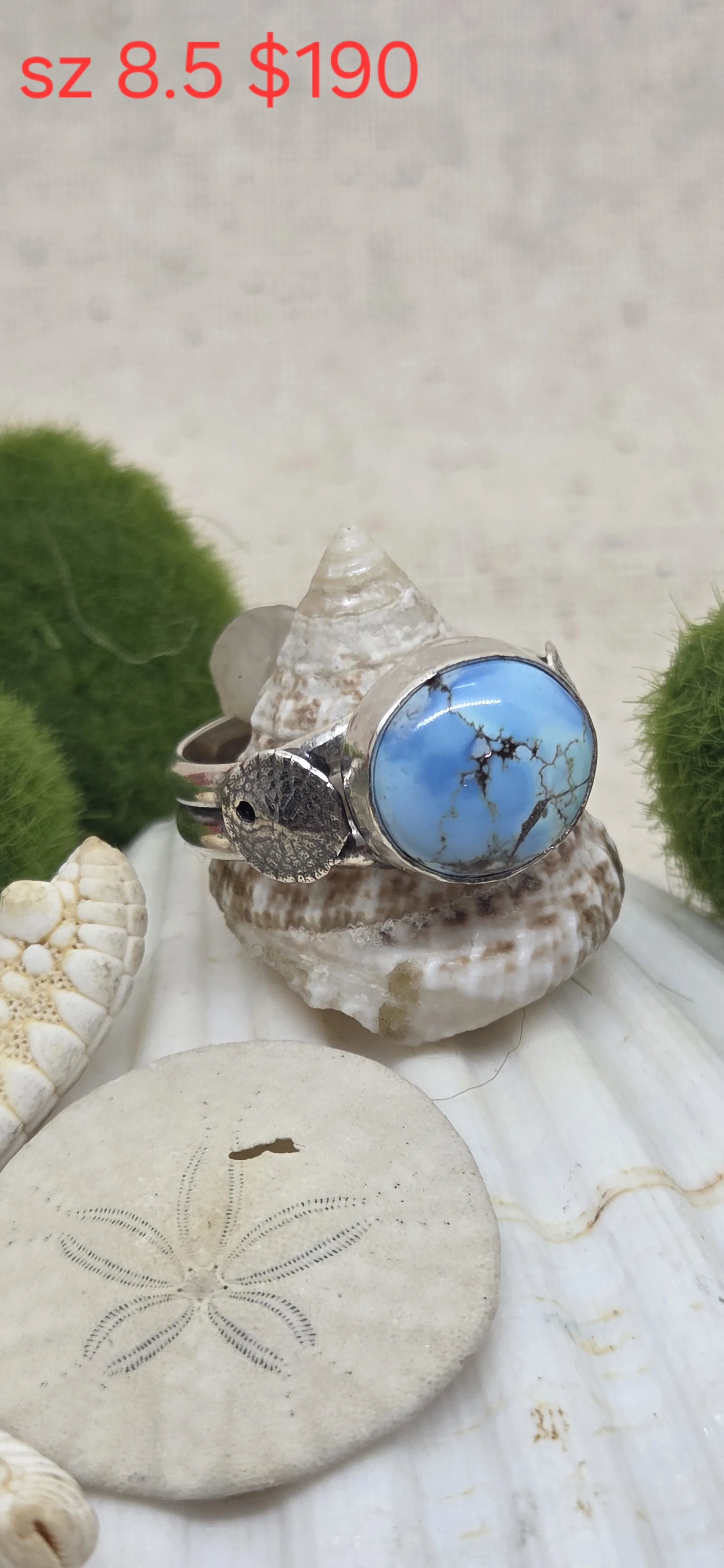 Ocean Beauty